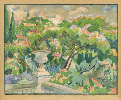 Критская Анна Михайловна. Розовая мимоза в цвету. Ялта 